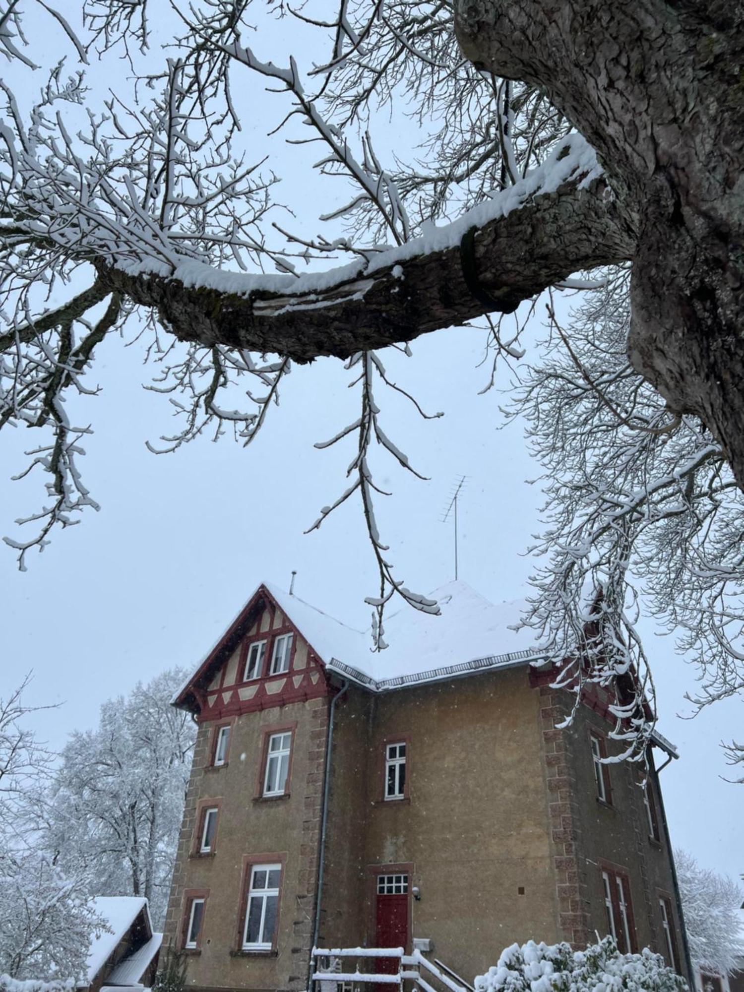 L' Extravagante Im Garten Von Schloss Schmidtheim Esterno foto
