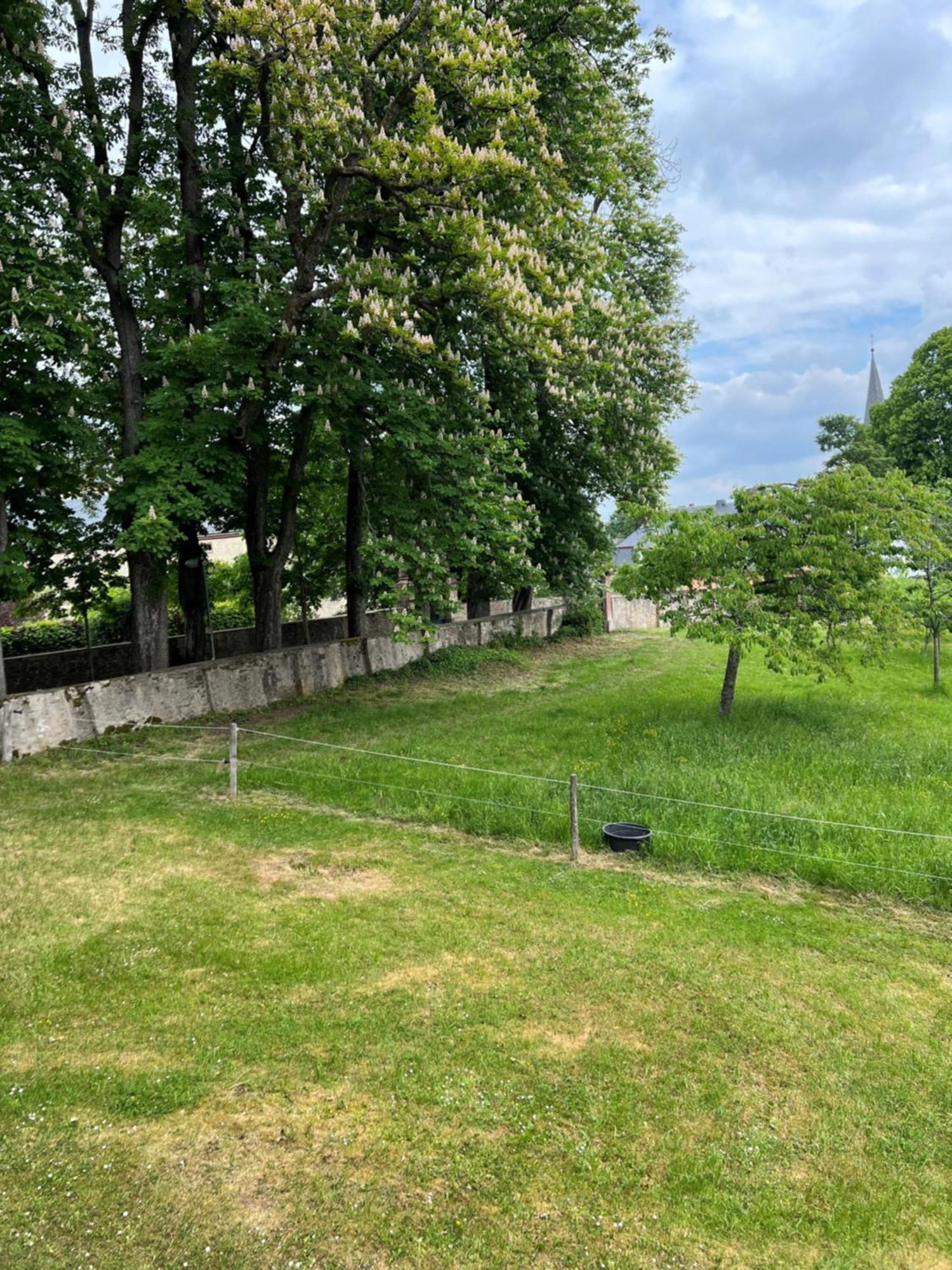 L' Extravagante Im Garten Von Schloss Schmidtheim Esterno foto