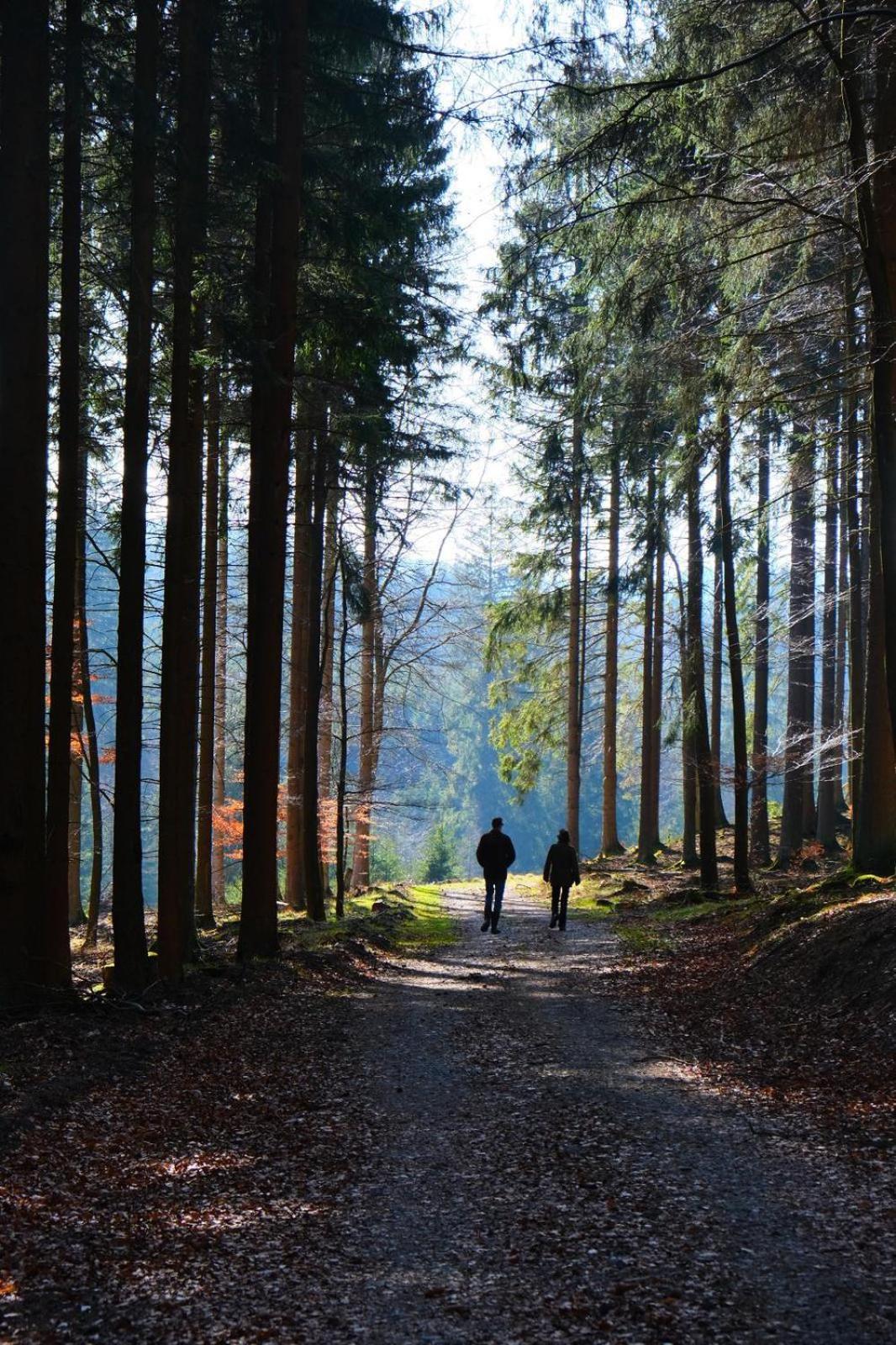 L' Extravagante Im Garten Von Schloss Schmidtheim Esterno foto