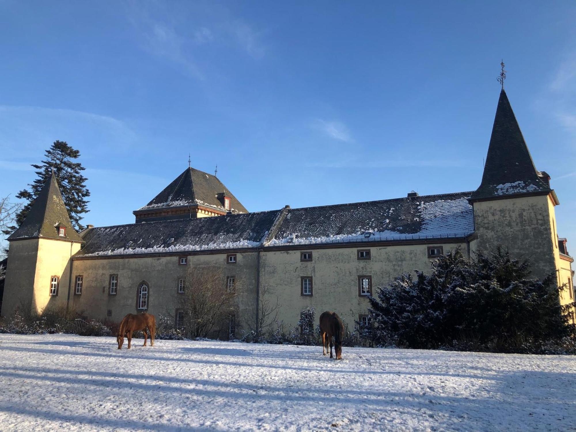 L' Extravagante Im Garten Von Schloss Schmidtheim Esterno foto