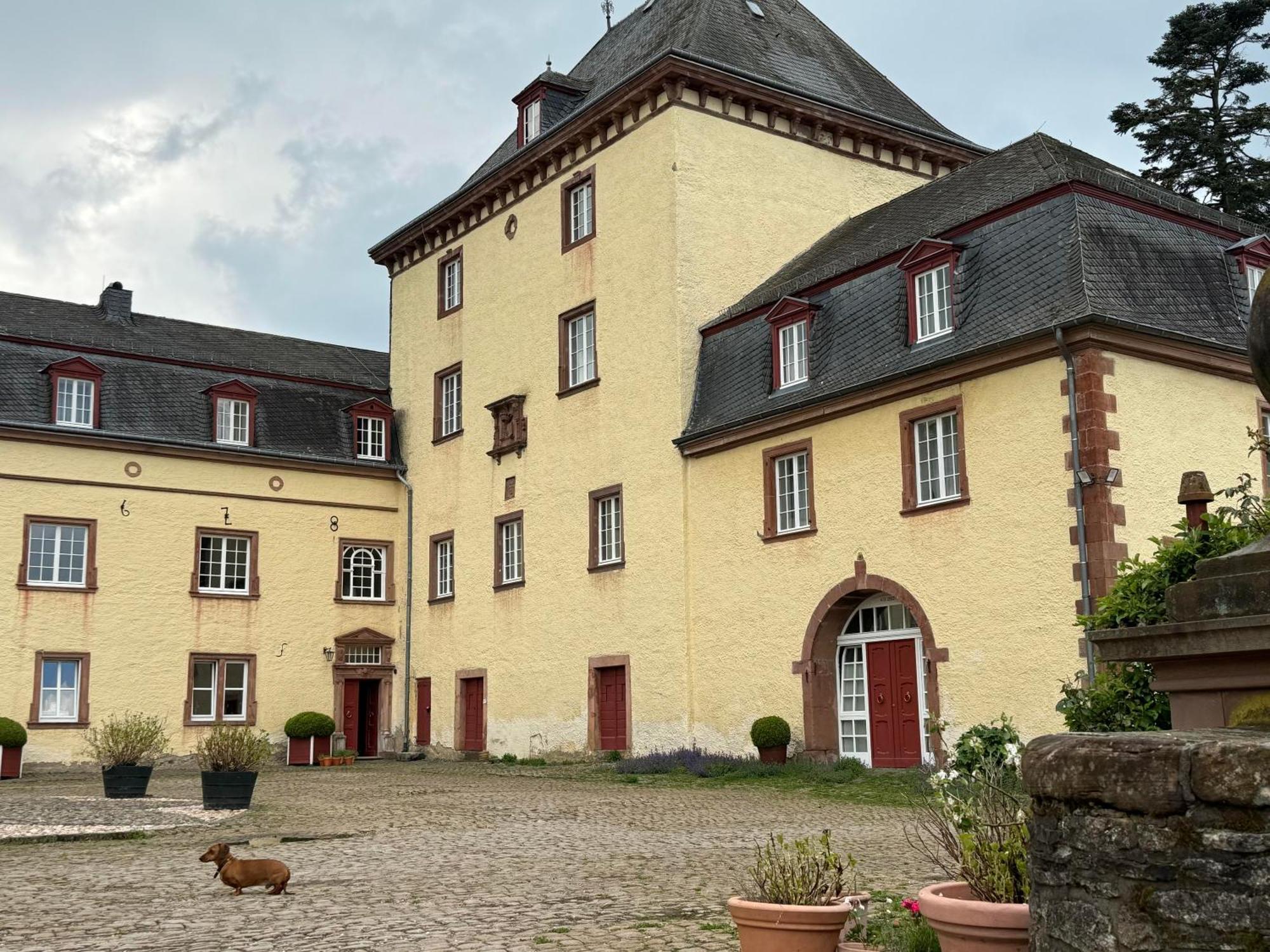 L' Extravagante Im Garten Von Schloss Schmidtheim Esterno foto