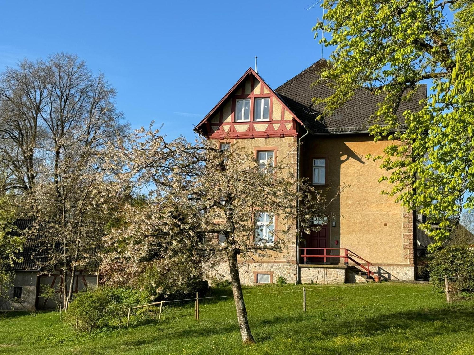 L' Extravagante Im Garten Von Schloss Schmidtheim Esterno foto